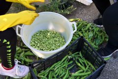 24_05_16_Abruzo_065
