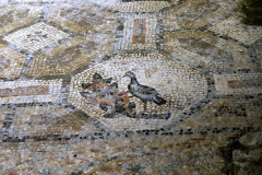 44-P1200164