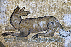 45-P1200165
