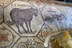 47-P1200168