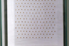74-P1200224