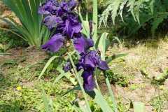 IMG-20240506-WA0011