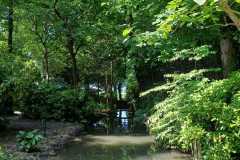 IMG-20240506-WA0016