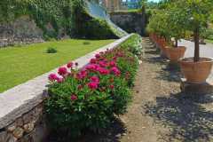 IMG-20240506-WA0019