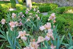 IMG-20240506-WA0022