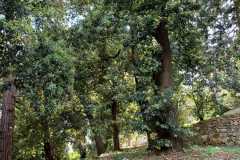 IMG-20240506-WA0032