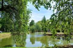 IMG-20240506-WA0034