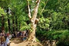 IMG-20240506-WA0035
