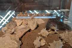 IMG-20240414-WA0008