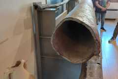 IMG-20240414-WA0010