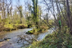 25-IMG-20240407-WA0015