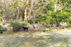 29-IMG-20240407-WA0019