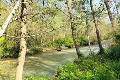 30-IMG-20240407-WA0020