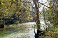 37-IMG-20240407-WA0006
