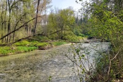 39-IMG-20240407-WA0040