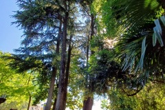 06-1_giardini_arena004