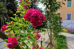 39-4_orto_botanico001