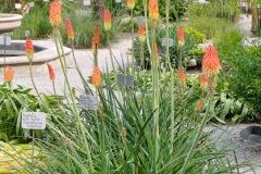 45-4_orto_botanico007
