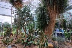48-4_orto_botanico010