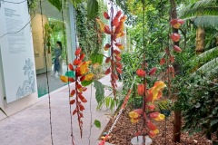 53-4_orto_botanico015