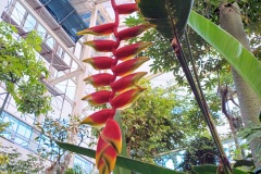 58-4_orto_botanico020