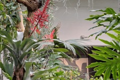 59-4_orto_botanico021